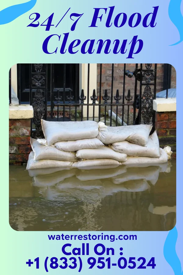 24/7 Flood Cleanup in Kasota, MN