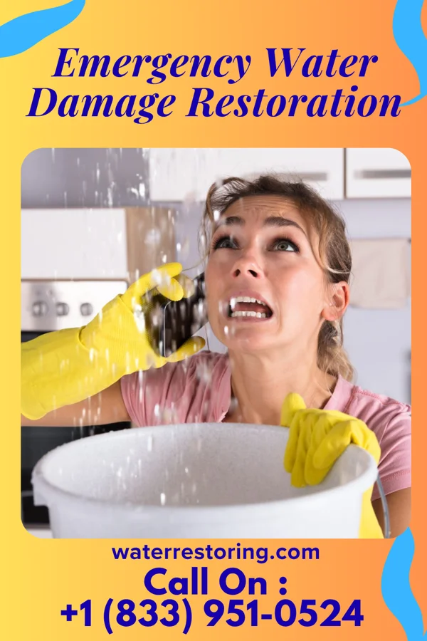 Emergency Water Damage Restoration in Kasota, MN