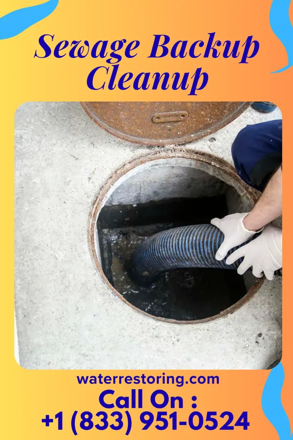 Sewage Backup Cleanup in Kasota, MN