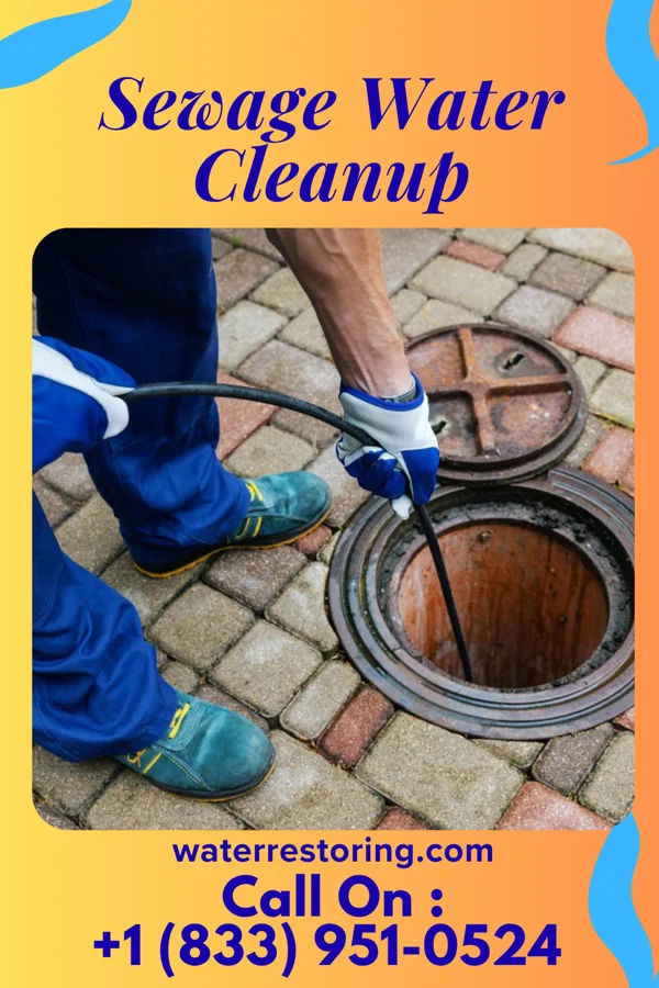 Sewage Water Cleanup in Kasota, MN